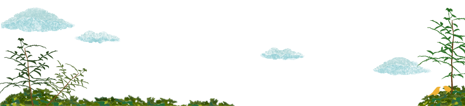 footer_img